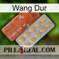 Hard Wang 43